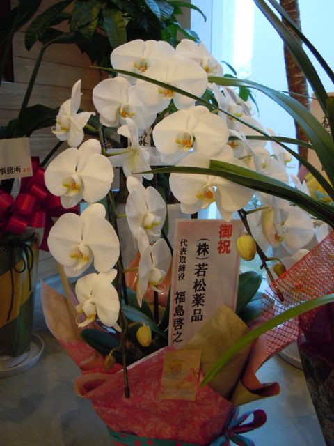 DSCN3479