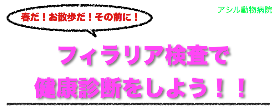 フィラリア検査で健康診断をしよう