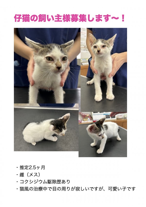 名称未設定